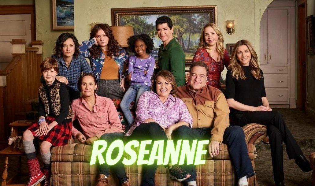 Roseanne Barr Professional career contributed to her net worth