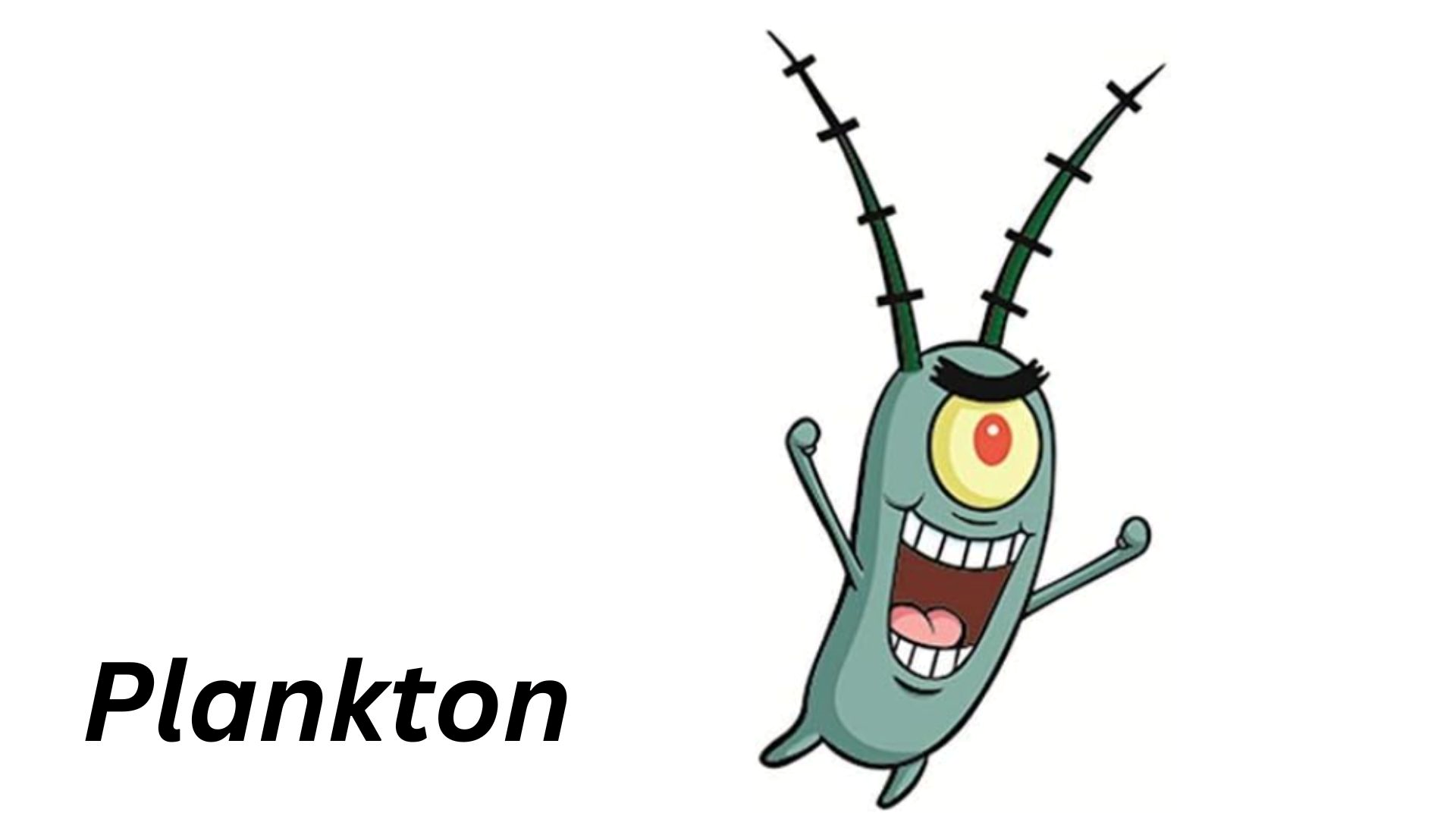 Plankton