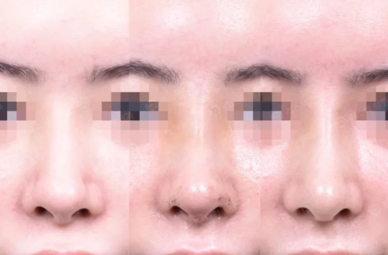 The Noble Profession: A Detailed Look into the Life of a Doctor Noble Profession